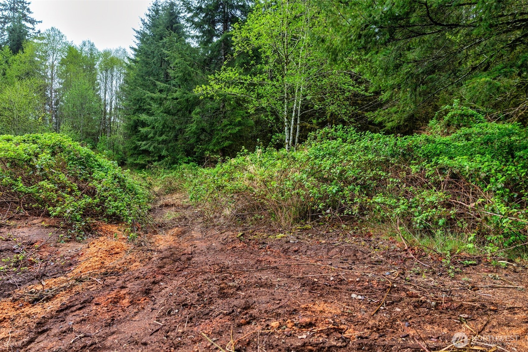 30 Belle Lane , McCleary, WA 98557