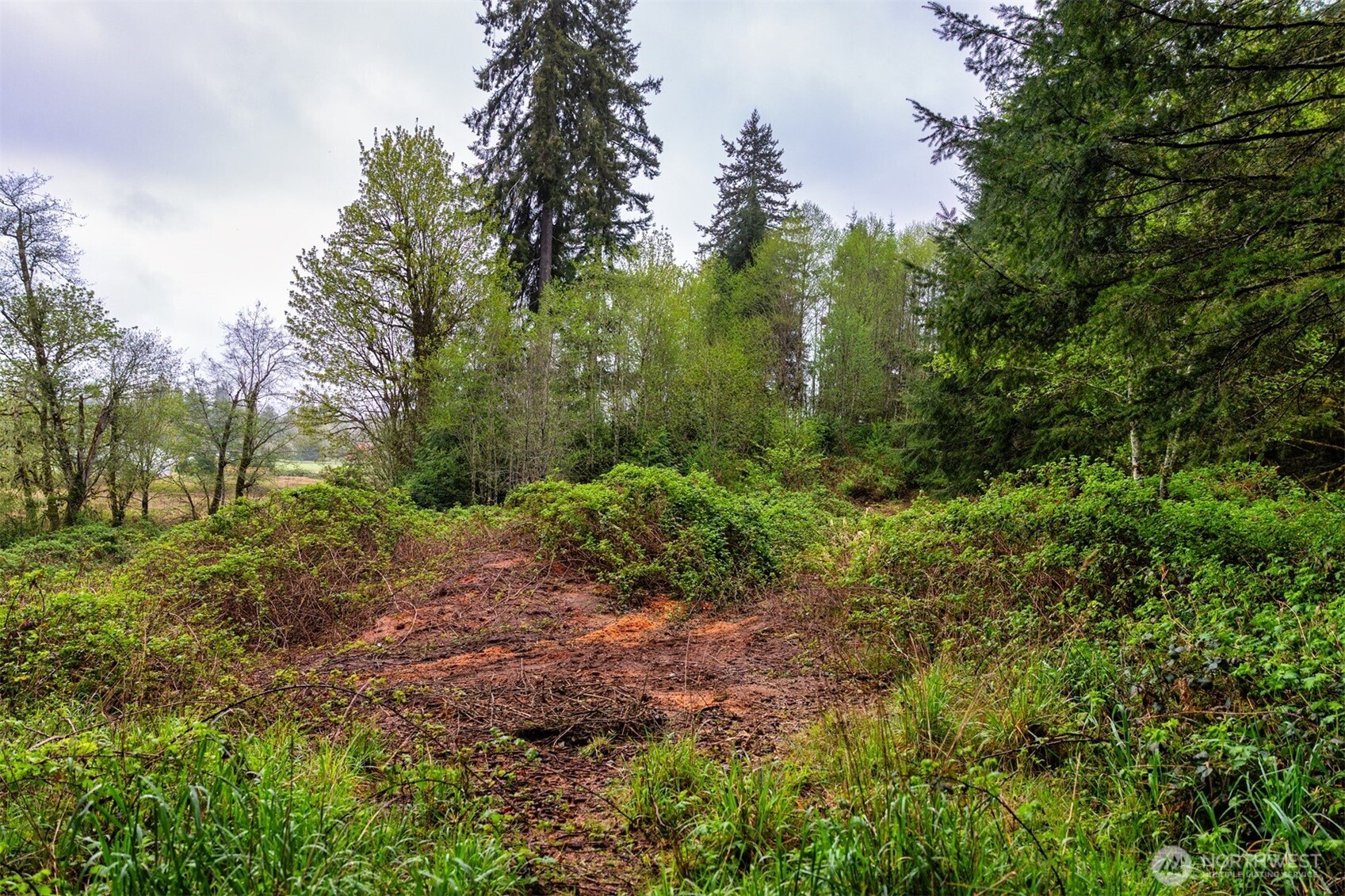 30 Belle Lane , McCleary, WA 98557