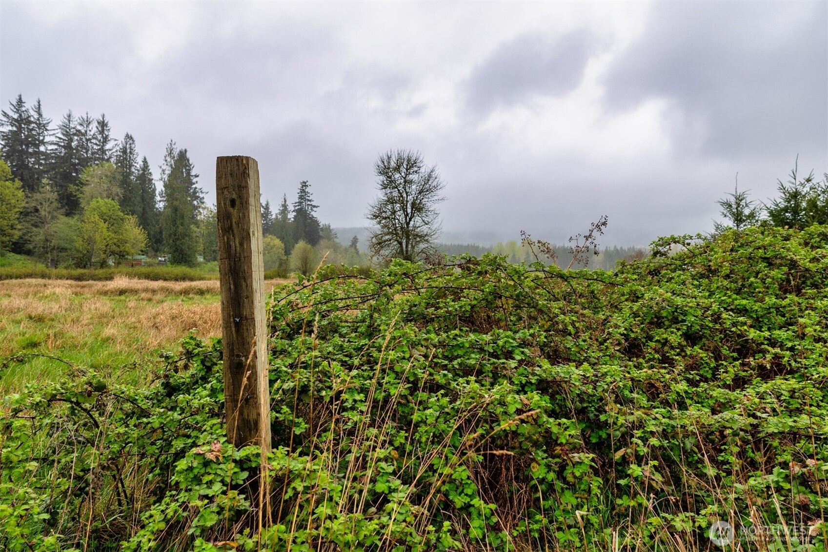 30 Belle Lane , McCleary, WA 98557
