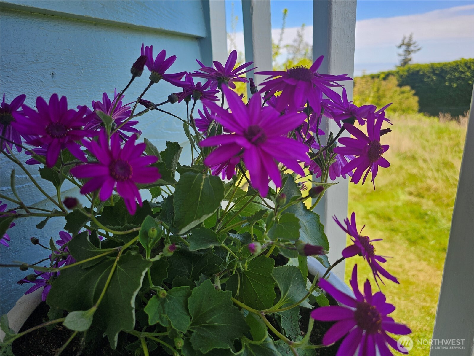 1426 W 4th Street , Port Angeles, WA 98363
