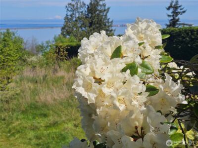 1426 W 4th Street , Port Angeles, WA 98363 - Photo 35