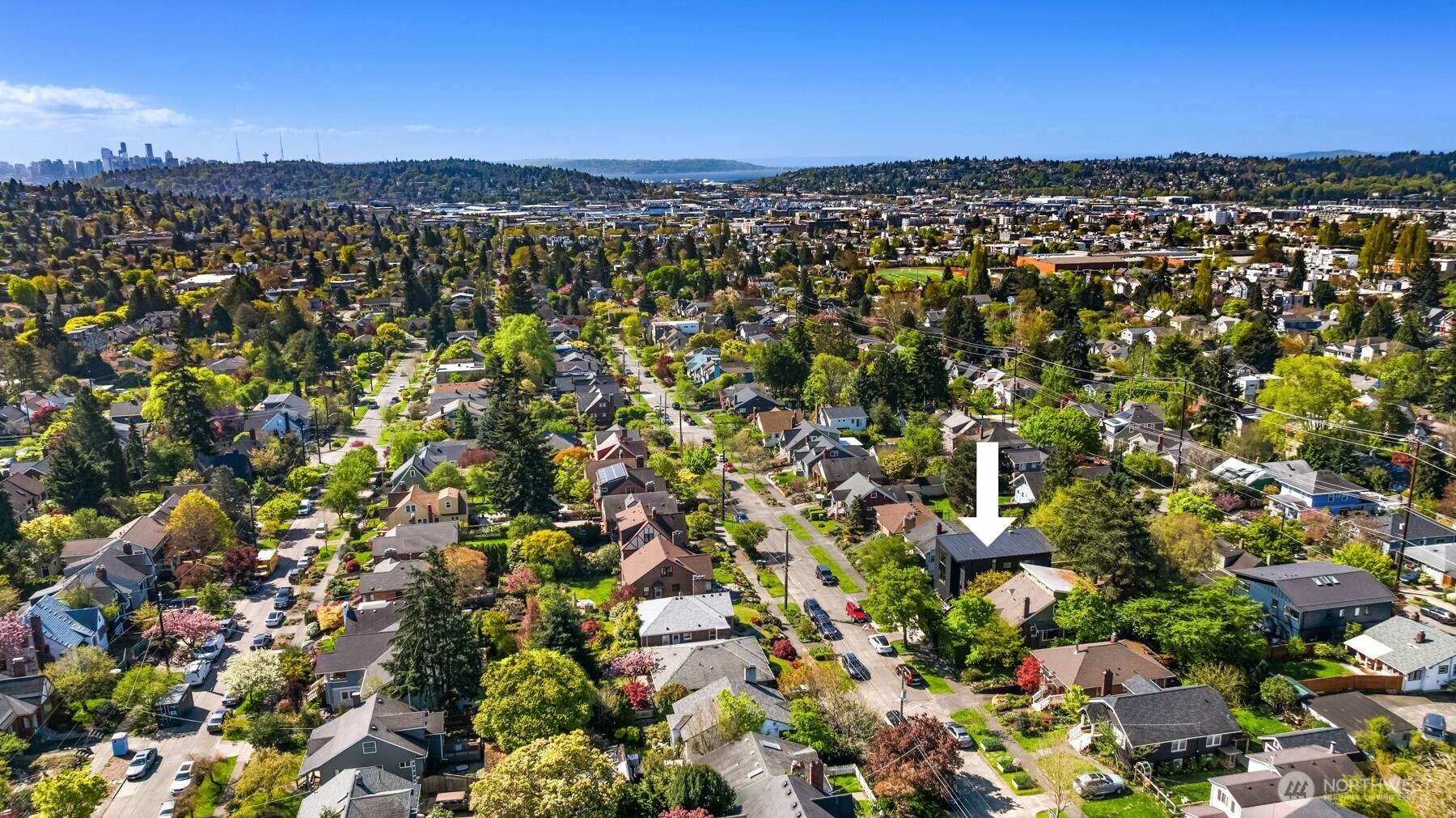 7337 10th Avenue NW, Seattle, WA 98117