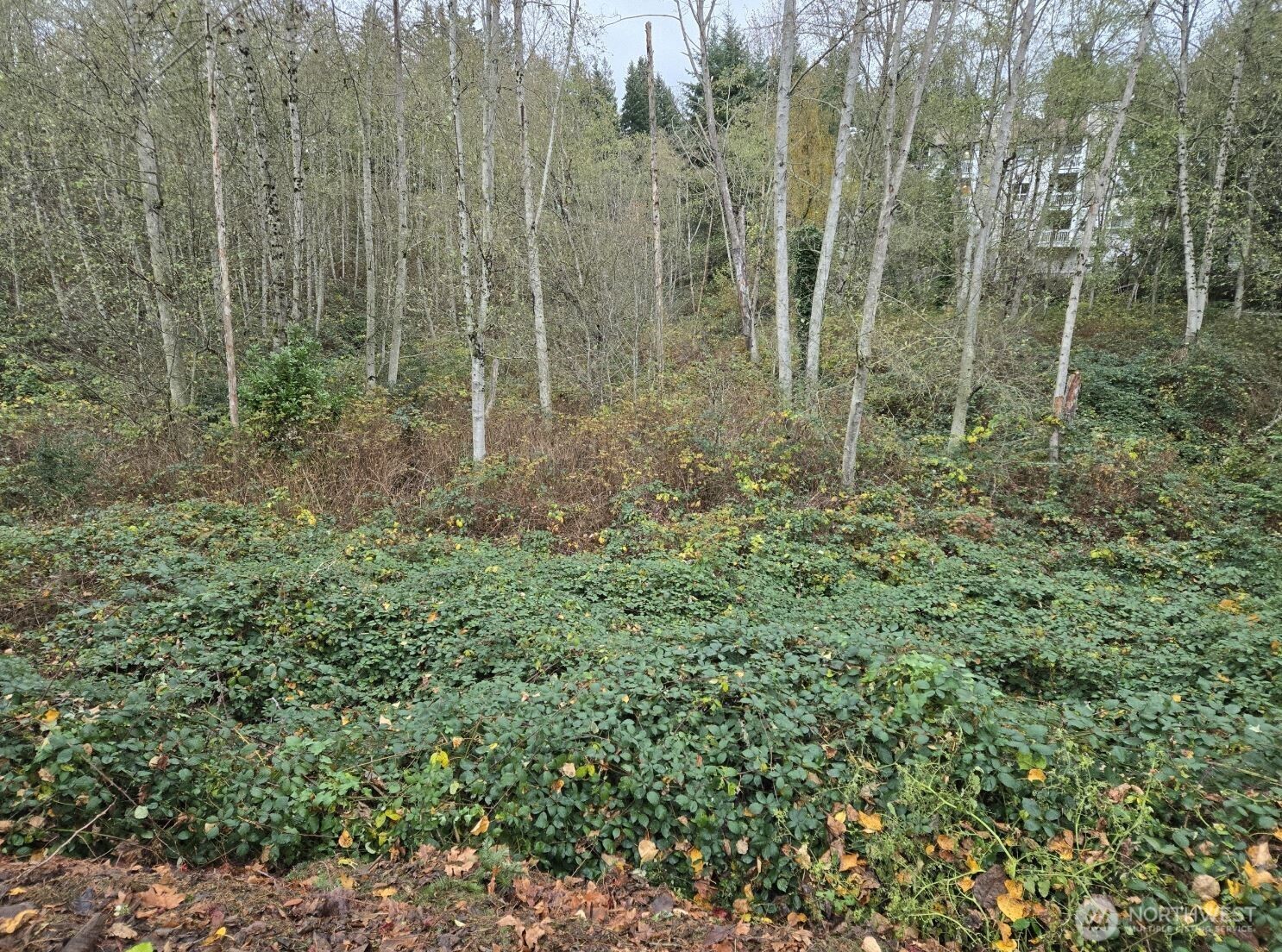 8201 5th Avenue W, Everett, WA 98204