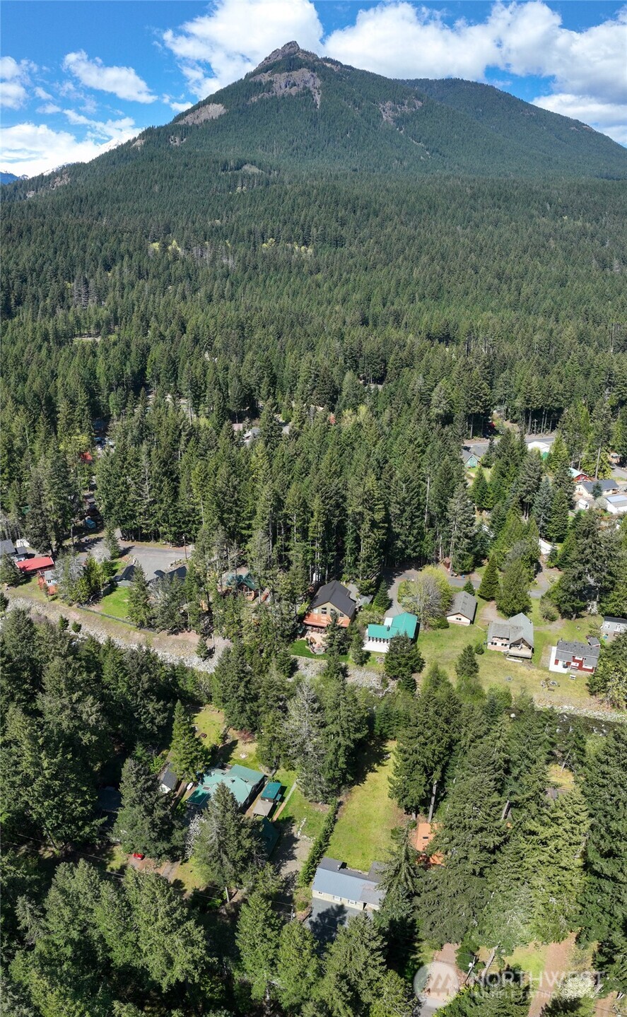 123 Butter Creek Lane , Packwood, WA 98361