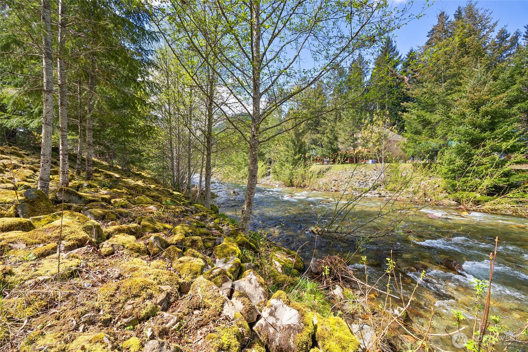 123 Butter Creek Lane , Packwood, WA 98361