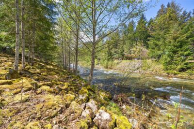 123 Butter Creek Lane , Packwood, WA 98361 - Photo 29