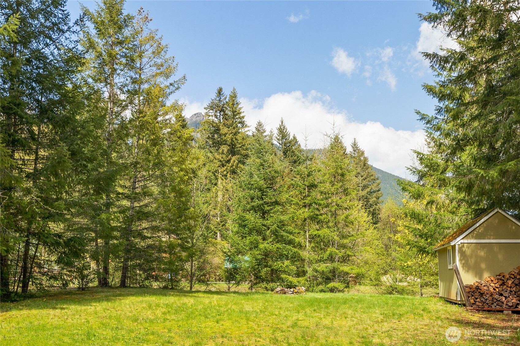 123 Butter Creek Lane , Packwood, WA 98361
