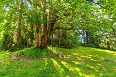 20005 232nd Avenue SE, Maple Valley, WA 98038 - Photo 24
