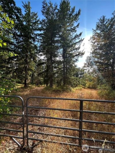 17837 Sargent Road SW, Rochester, WA 98579 - Photo 1