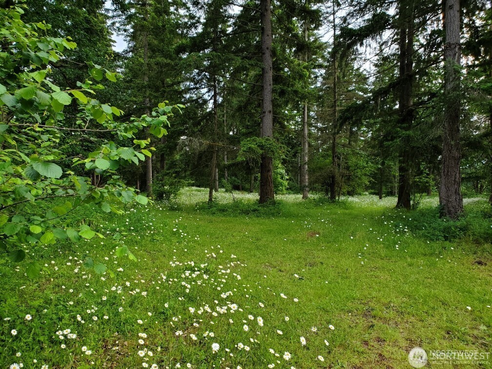 17837 Sargent Road SW, Rochester, WA 98579