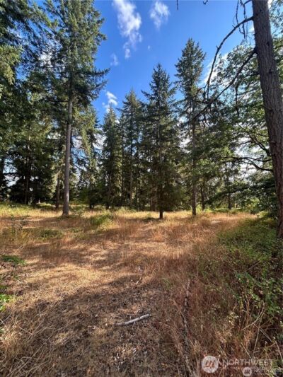 17837 Sargent Road SW, Rochester, WA 98579 - Photo 12