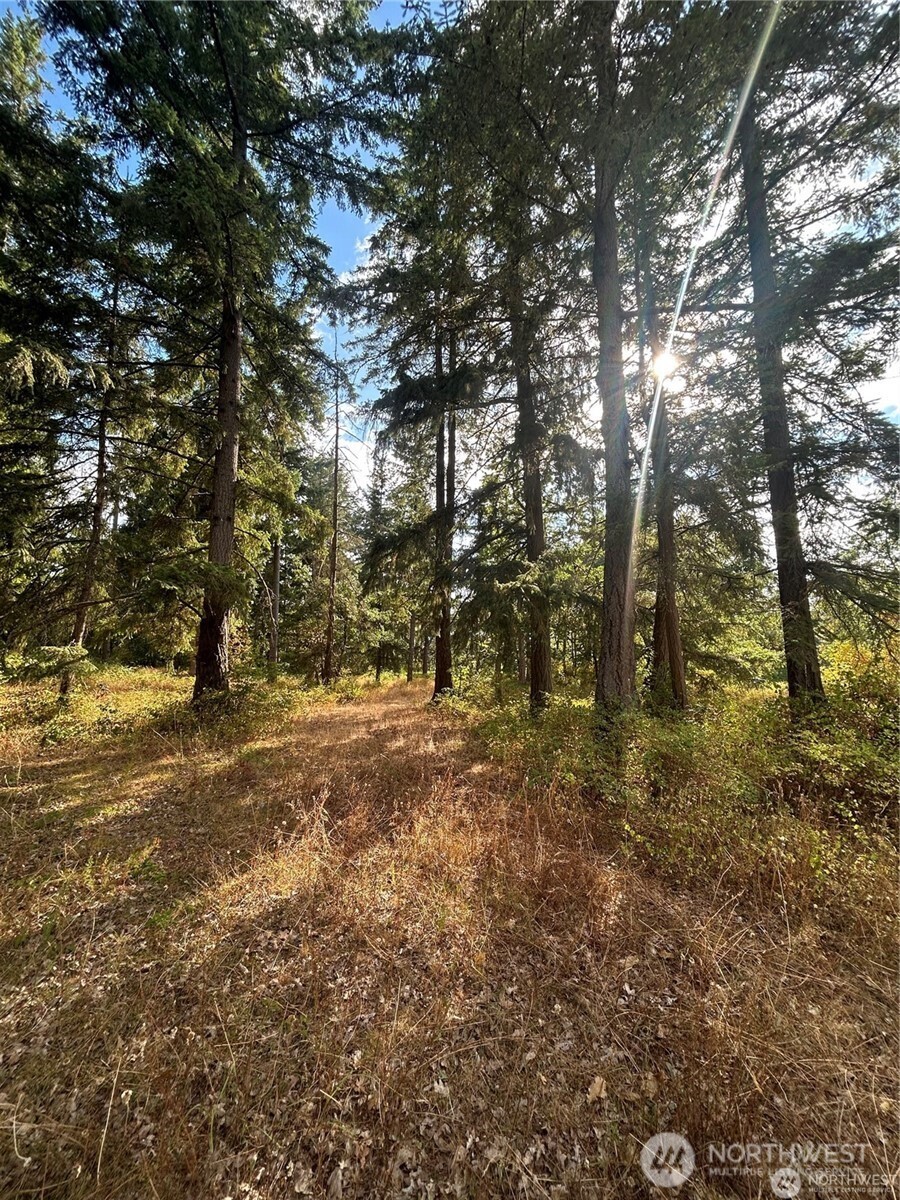 17837 Sargent Road SW, Rochester, WA 98579