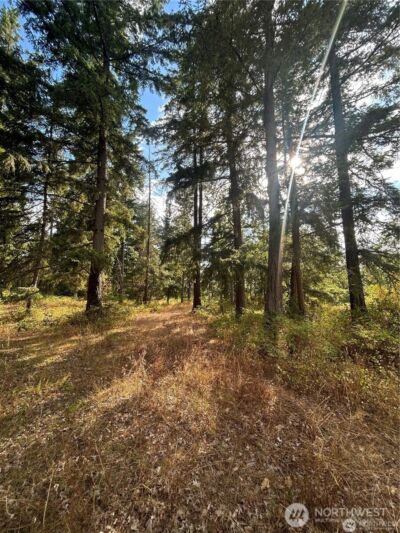 17837 Sargent Road SW, Rochester, WA 98579 - Photo 3