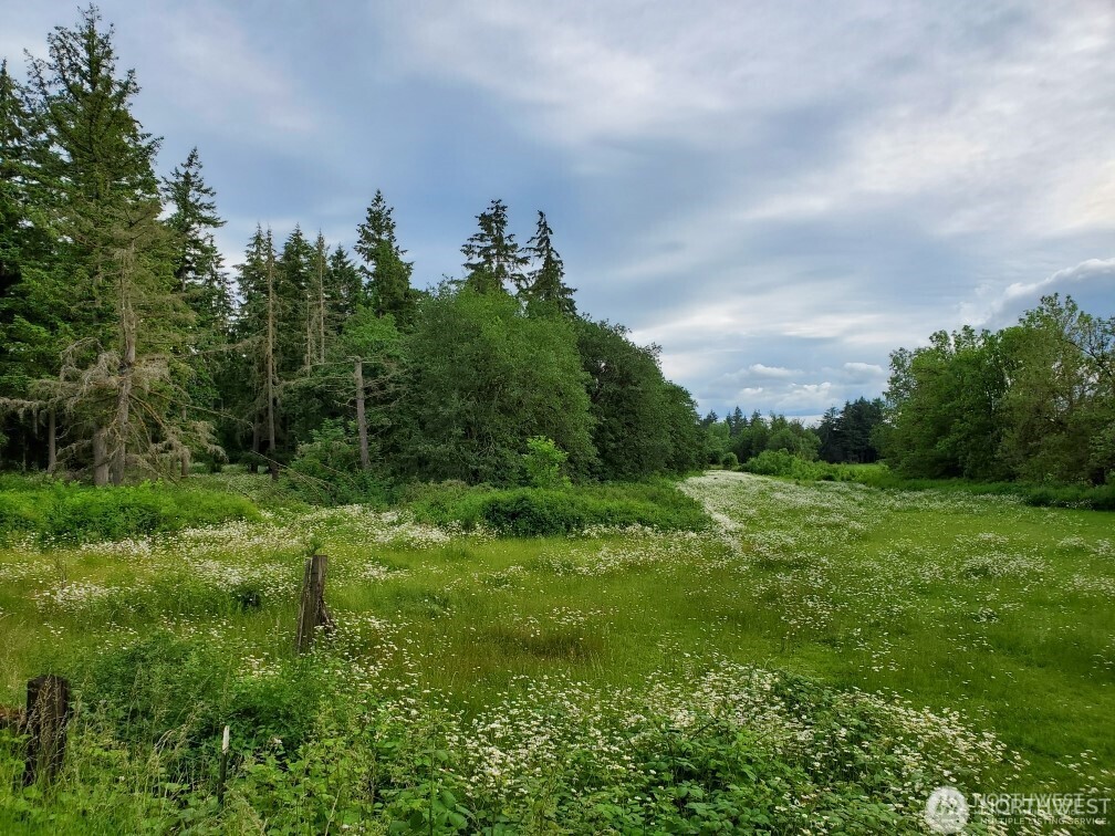 17837 Sargent Road SW, Rochester, WA 98579
