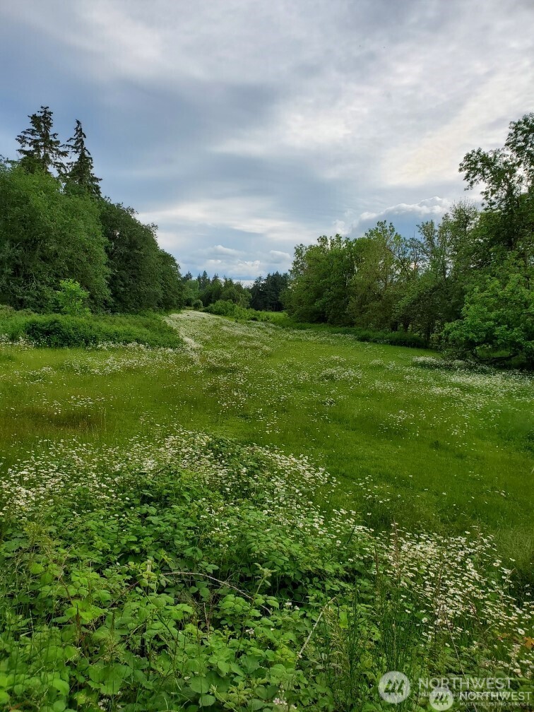 17837 Sargent Road SW, Rochester, WA 98579