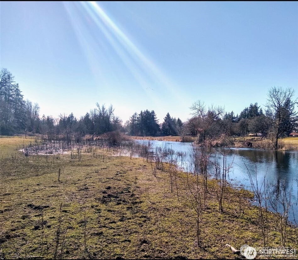 17837 Sargent Road SW, Rochester, WA 98579