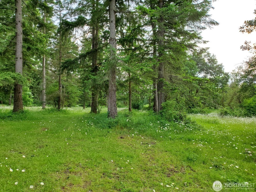 17837 Sargent Road SW, Rochester, WA 98579