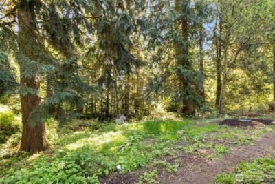 7831 Phillips Road SE, Port Orchard, WA 98367 - Photo 19