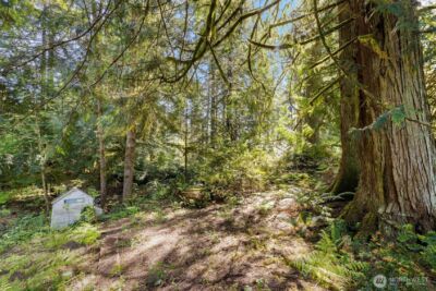 7831 Phillips Road SE, Port Orchard, WA 98367 - Photo 20
