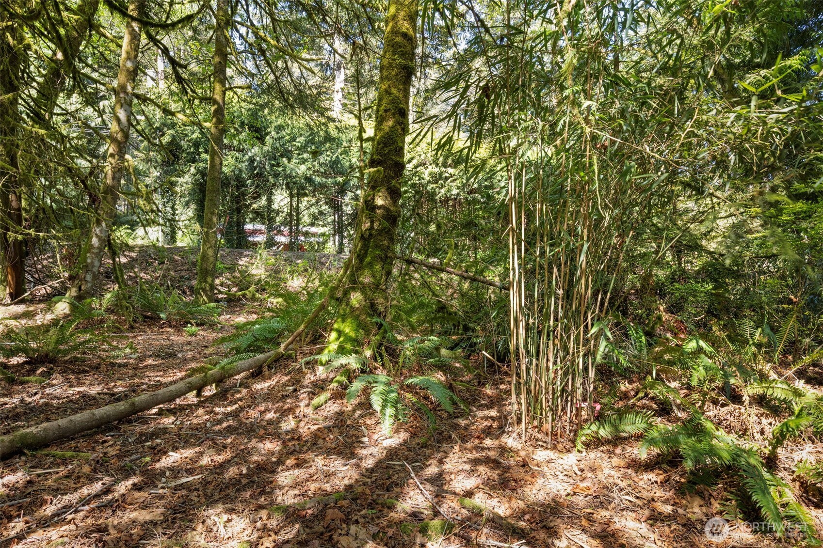 7831 Phillips Road SE, Port Orchard, WA 98367