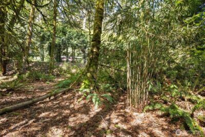 7831 Phillips Road SE, Port Orchard, WA 98367 - Photo 22
