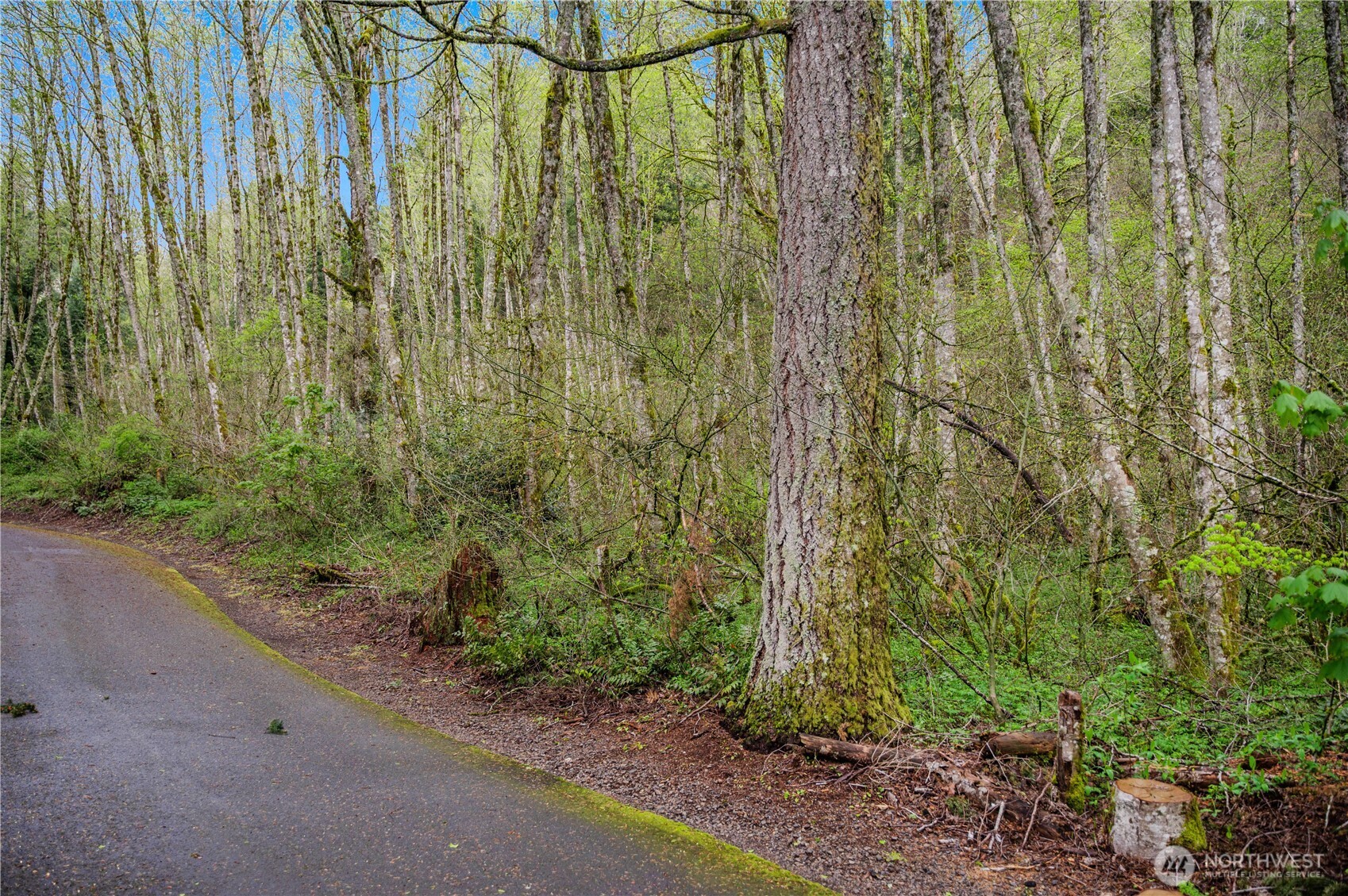 278 xx NE 66th Street , Camas, WA 98067