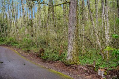 278 xx NE 66th Street , Camas, WA 98067 - Photo 4