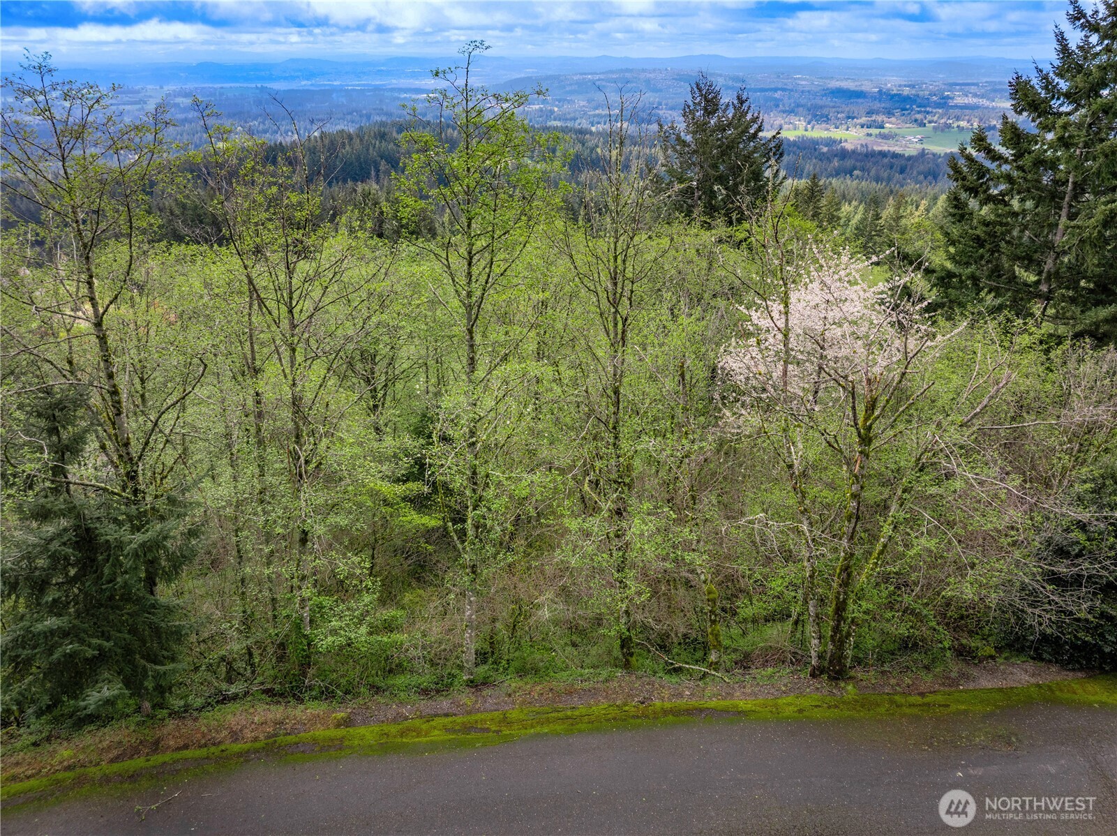 278 xx NE 66th Street , Camas, WA 98067