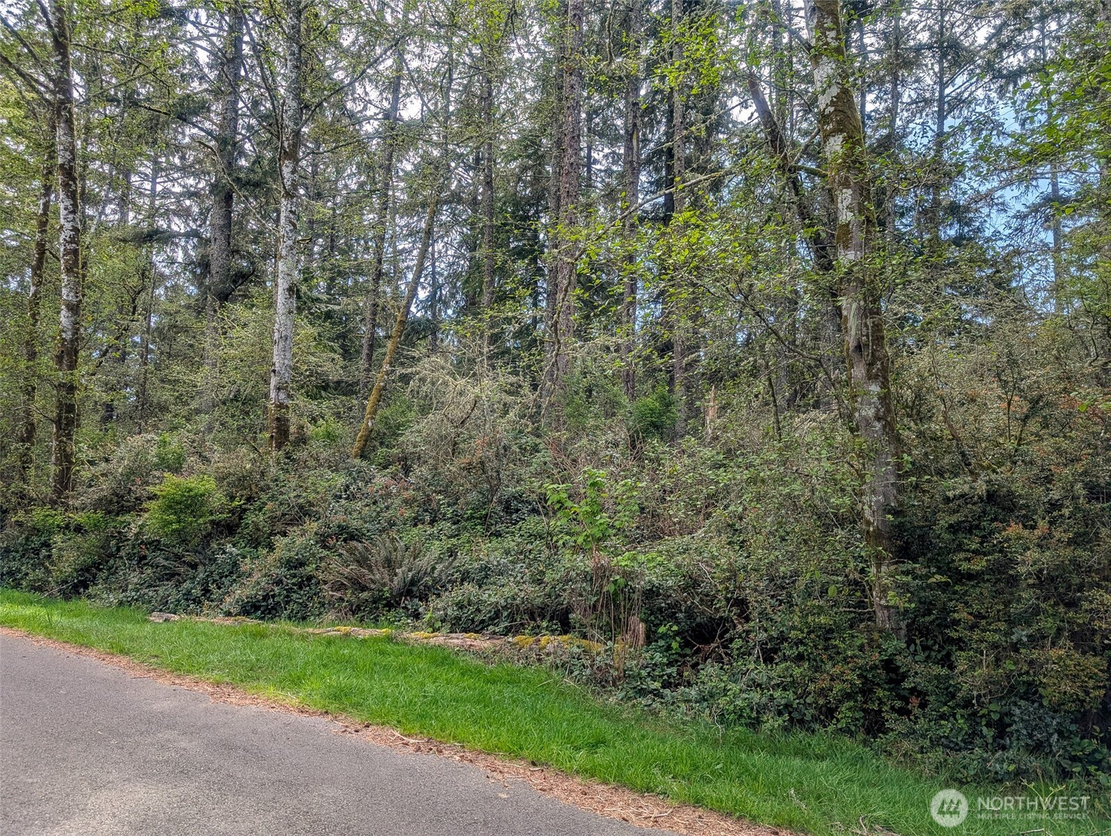 757 Evergreen Avenue SE, Ocean Shores, WA 98569