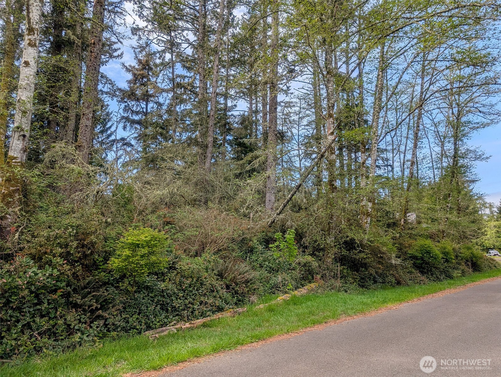 757 Evergreen Avenue SE, Ocean Shores, WA 98569