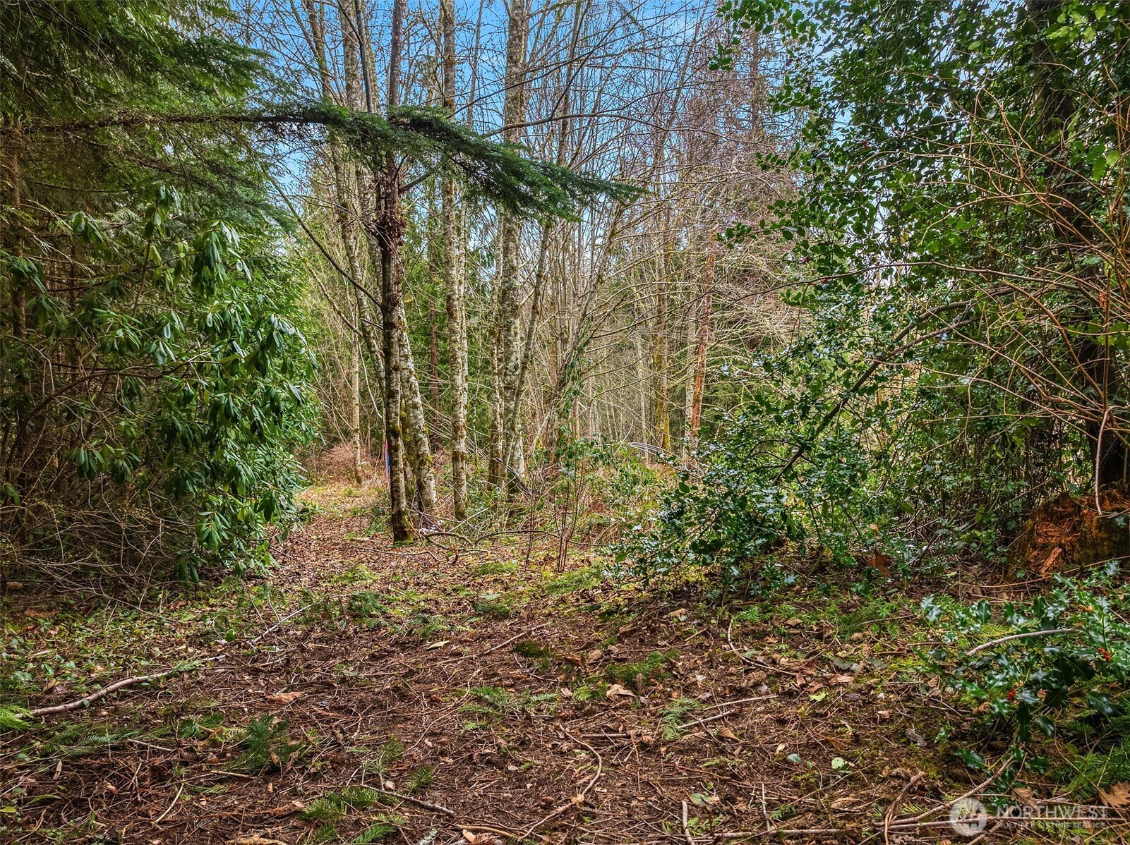 16 xxx SE 259th Avenue , Issaquah, WA 98027