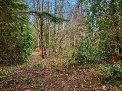 16 xxx SE 259th Avenue , Issaquah, WA 98027 - Photo 1