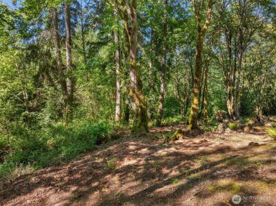 16 xxx SE 259th Avenue , Issaquah, WA 98027 - Photo 5