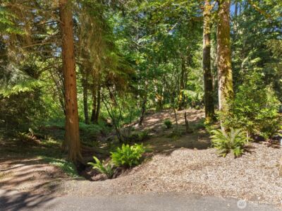 16 xxx SE 259th Avenue , Issaquah, WA 98027 - Photo 6