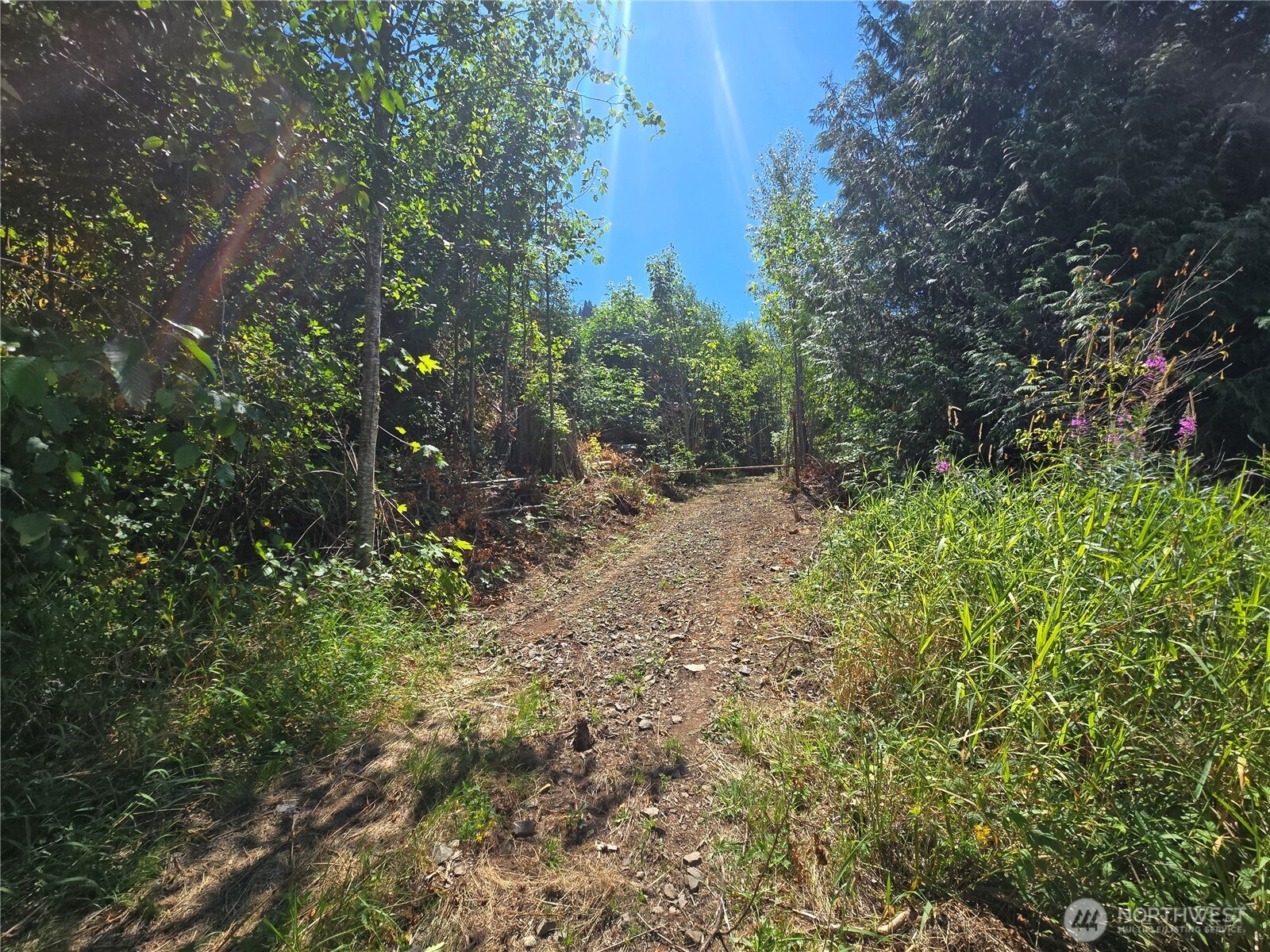 0 0 Highland Valley Road , Morton, WA 98356