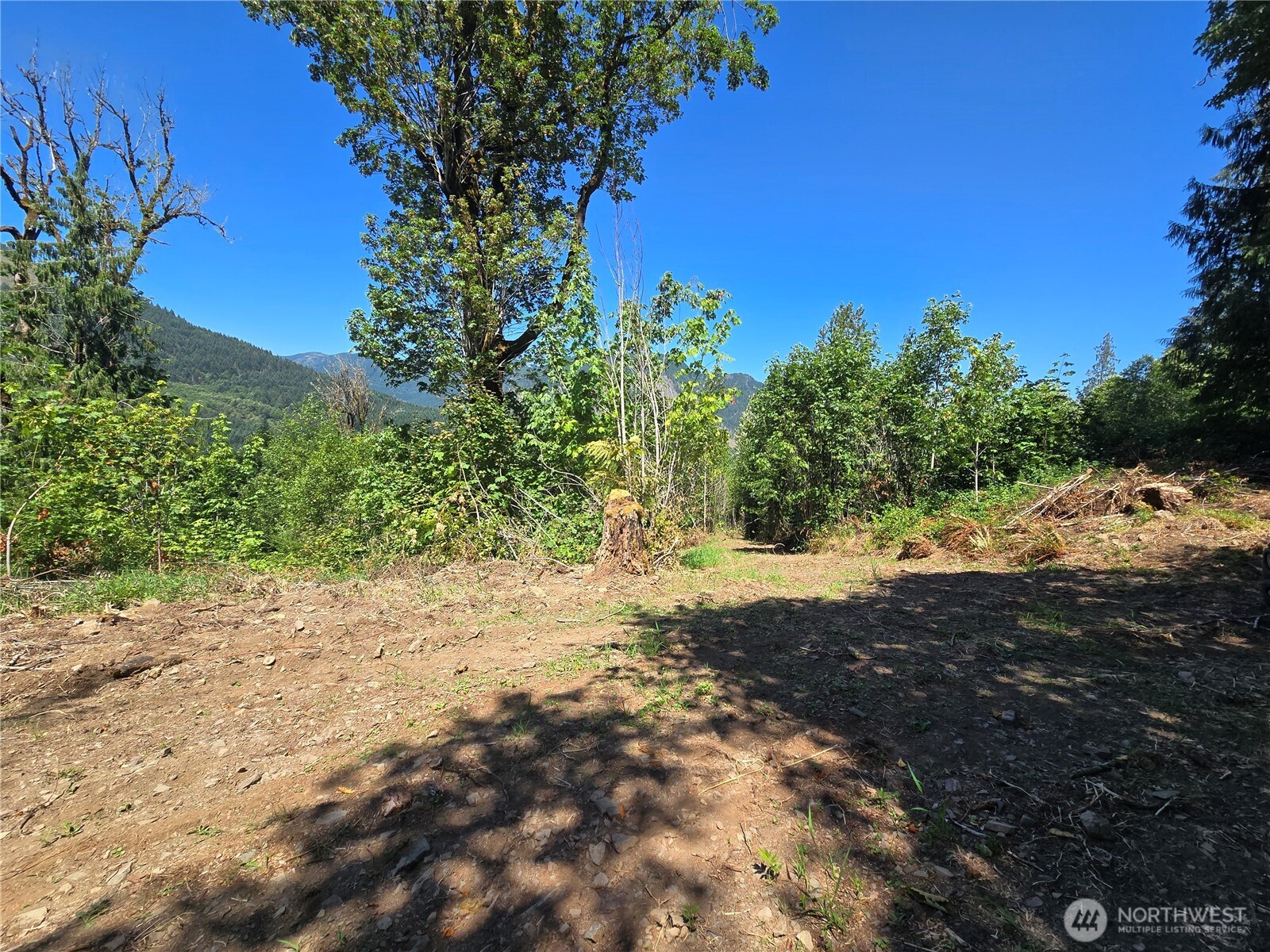 0 0 Highland Valley Road , Morton, WA 98356