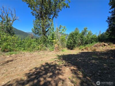 0 0 Highland Valley Road , Morton, WA 98356 - Photo 2