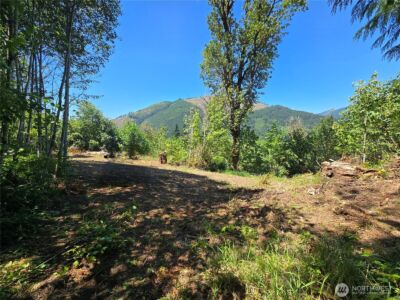 0 0 Highland Valley Road , Morton, WA 98356 - Photo 4