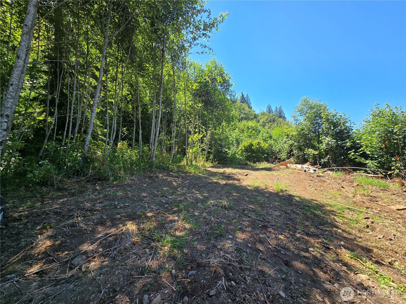 0 0 Highland Valley Road , Morton, WA 98356