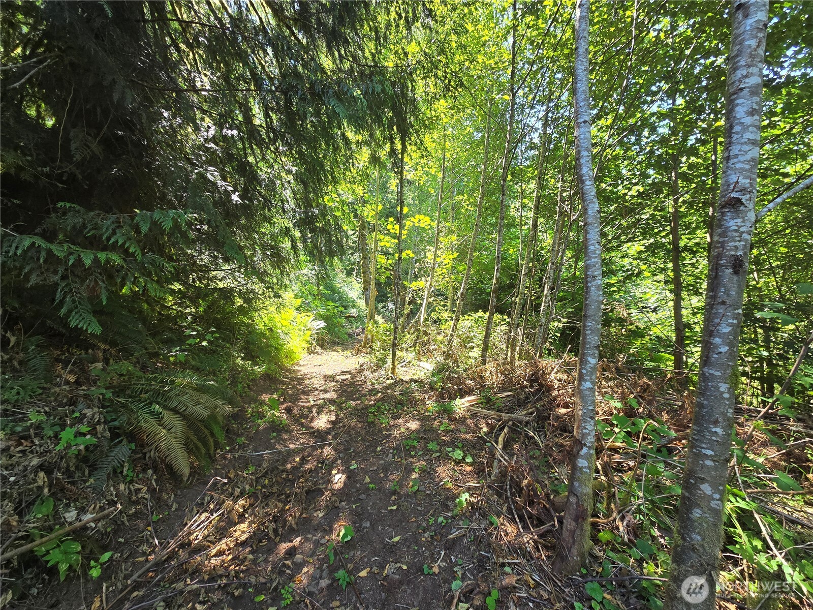 0 0 Highland Valley Road , Morton, WA 98356