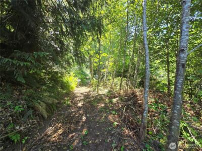 0 0 Highland Valley Road , Morton, WA 98356 - Photo 6