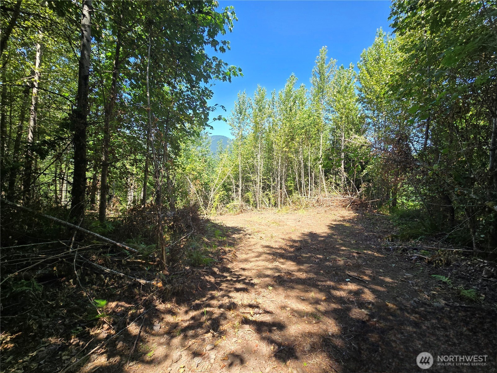 0 0 Highland Valley Road , Morton, WA 98356