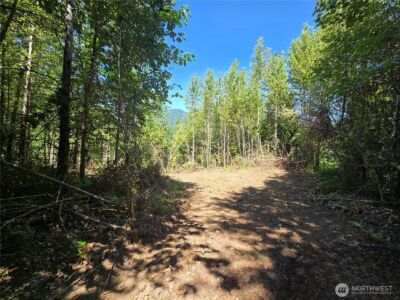 0 0 Highland Valley Road , Morton, WA 98356 - Photo 7