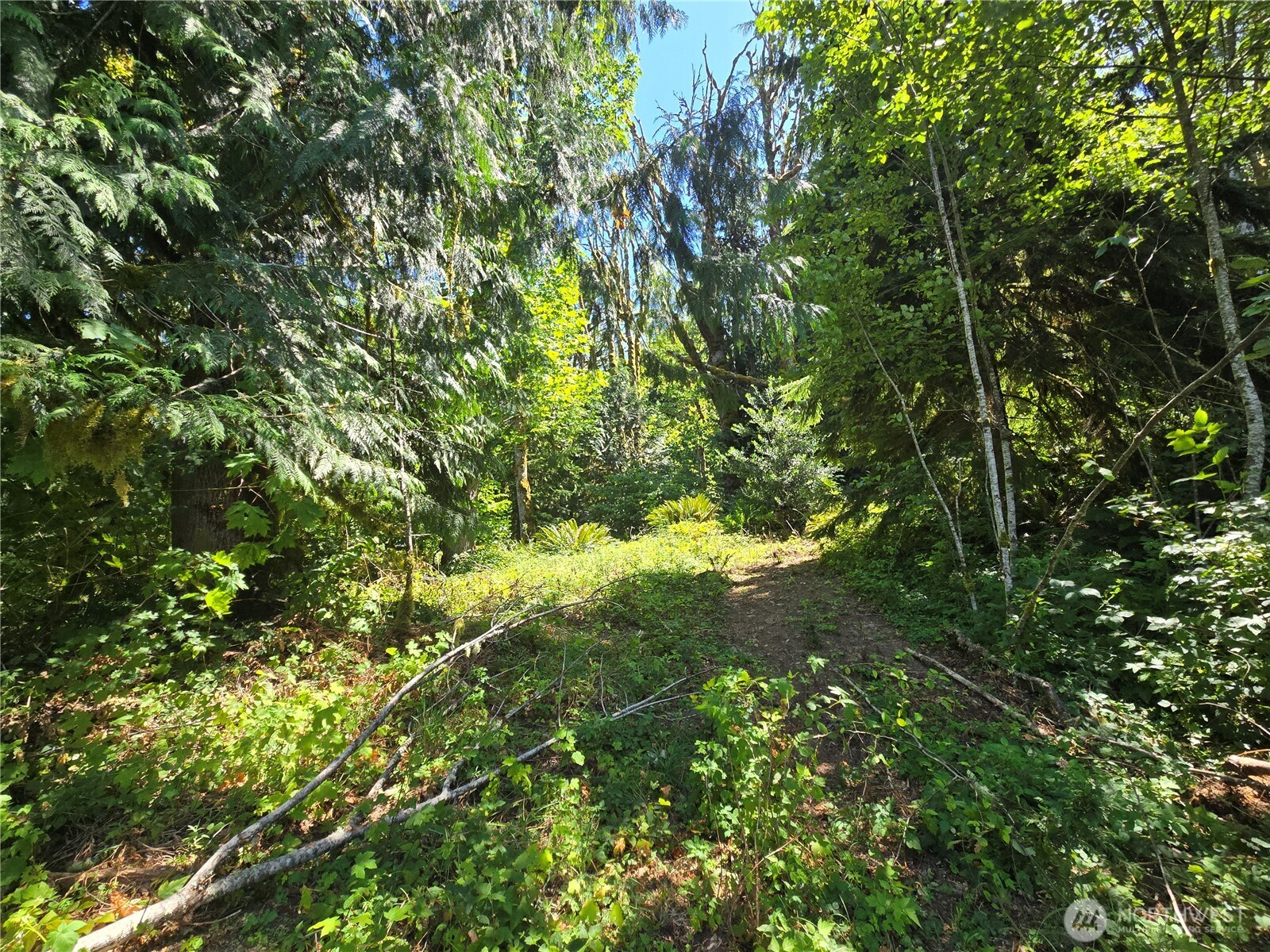 0 0 Highland Valley Road , Morton, WA 98356