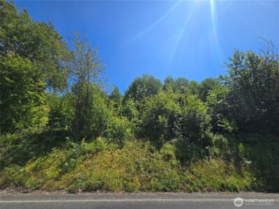0 0 Highland Valley Road , Morton, WA 98356 - Photo 9
