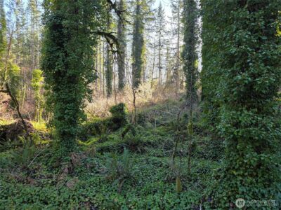 7311 226th Avenue NE #Lot 3, Granite Falls, WA 98252 - Photo 2