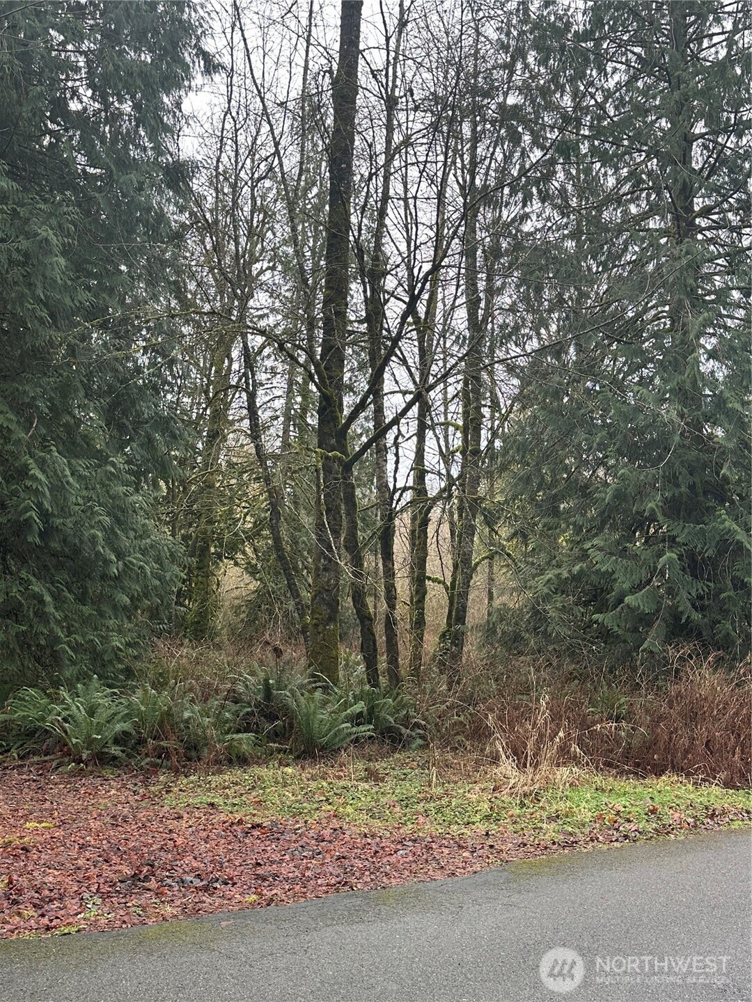 13420 74th Street NE, Lake Stevens, WA 98258