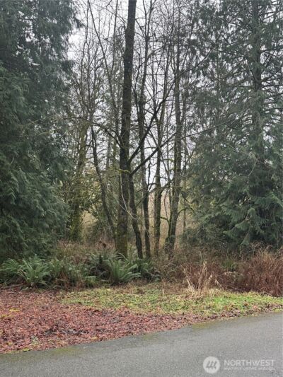 13420 74th Street NE, Lake Stevens, WA 98258 - Photo 2