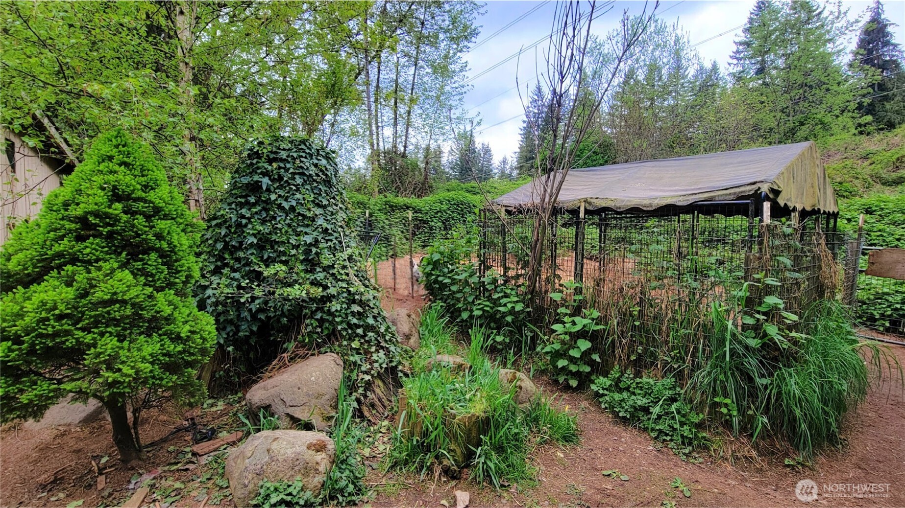 16207 309th Avenue NE, Duvall, WA 98019
