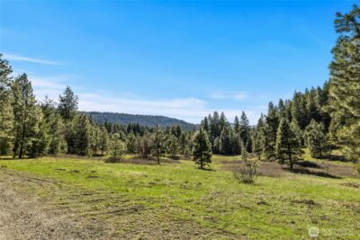 0 XXX Thornton Creek Lane , Cle Elum, WA 98922 - Photo 1